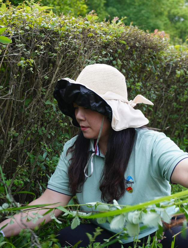 cf4eab78c2bd40b78658699a76f378ac.png image.png